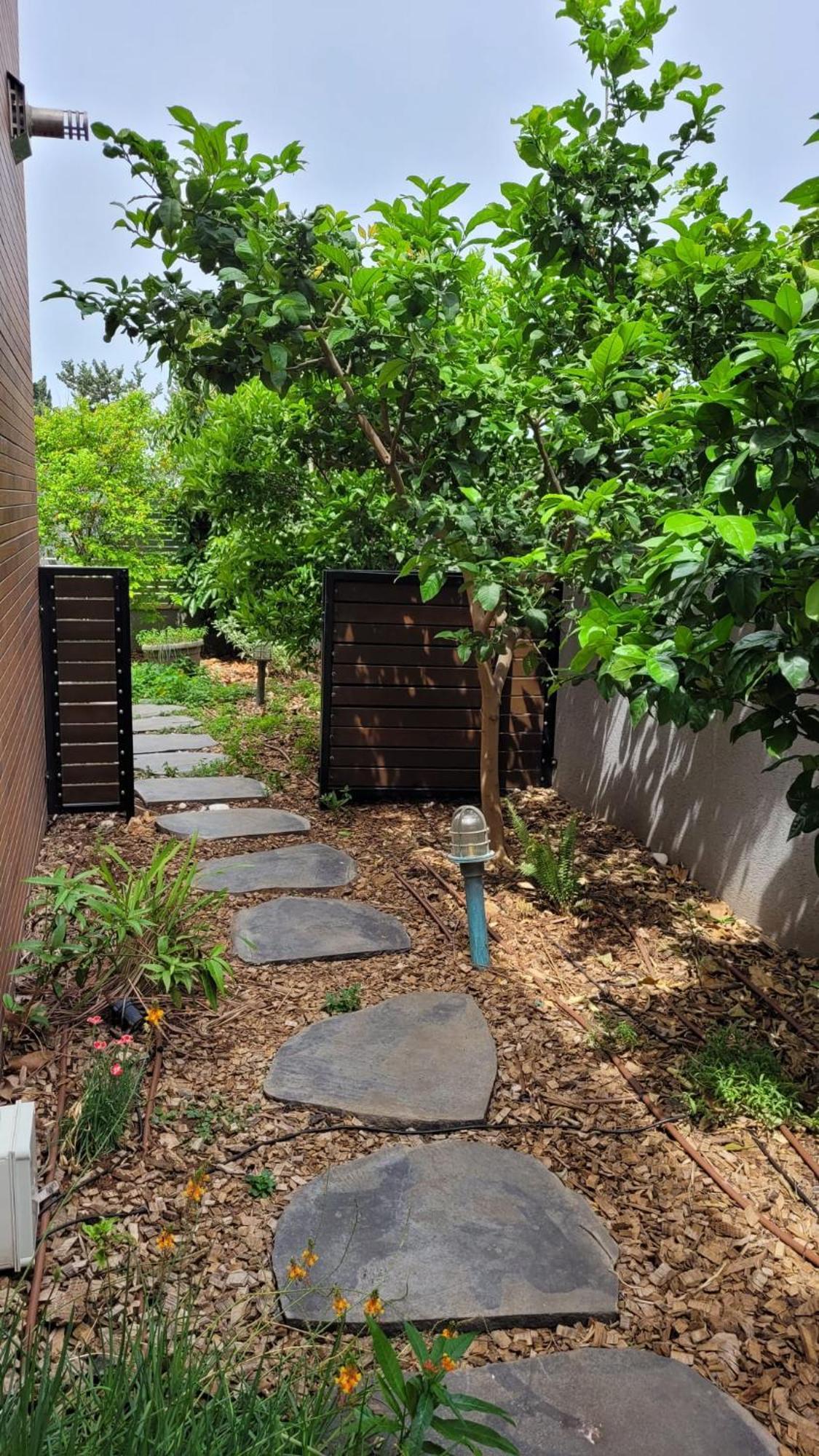 Apartamento נקודות ריפוי Tirat Carmel Exterior foto